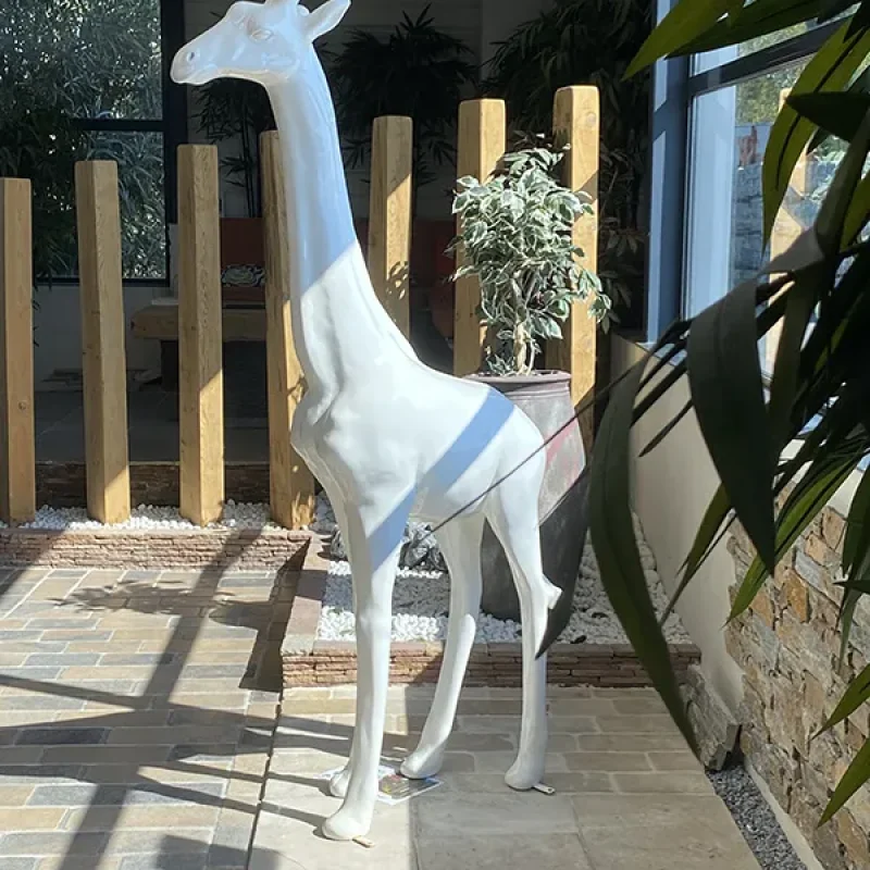 GIRAFES AGENCE AVIGNON 2