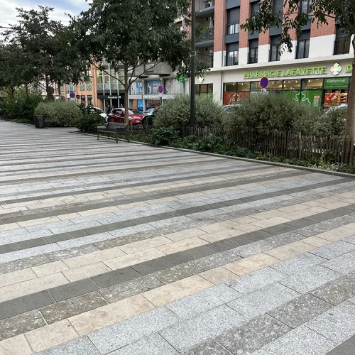 MONTAUBAN PLACE ROOSEVELT GNEIS DU CAROUX GRENAILLe